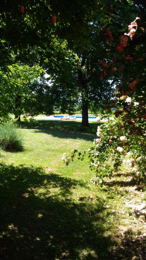 Bed and Breakfast Domaine Du Have Sainte-Christie-d'Armagnac Екстер'єр фото