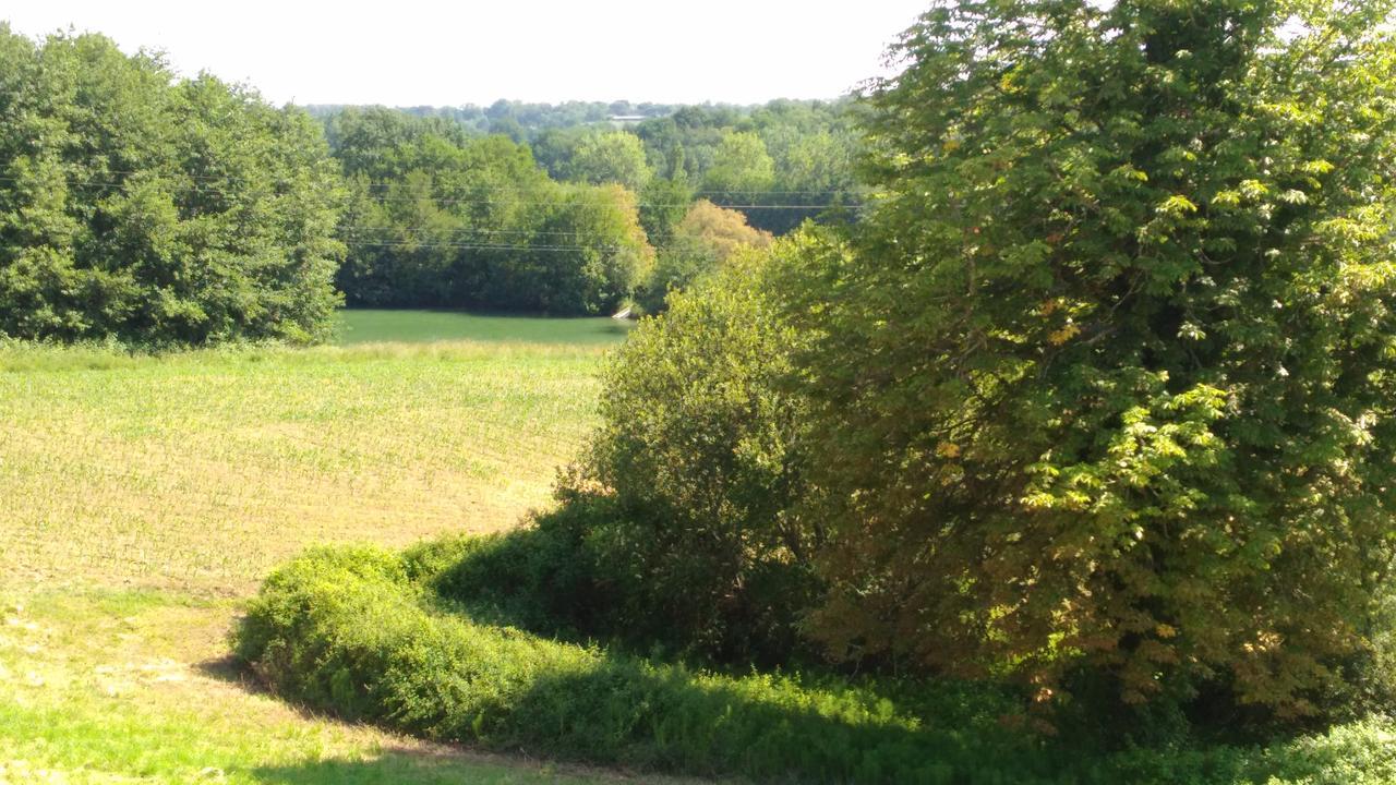 Bed and Breakfast Domaine Du Have Sainte-Christie-d'Armagnac Екстер'єр фото