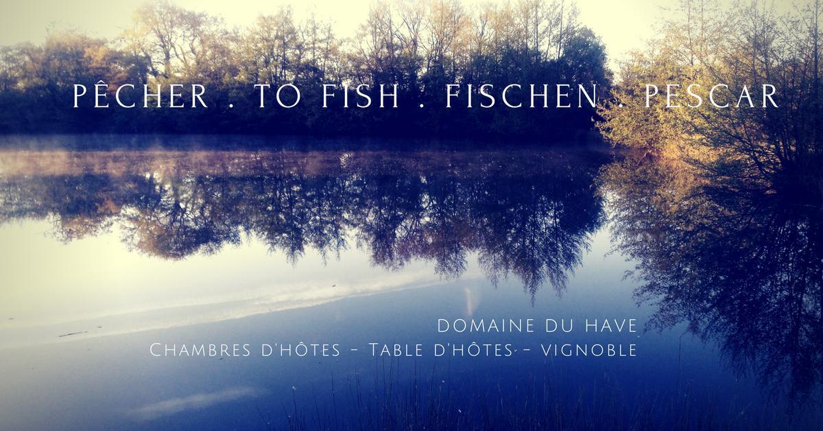 Bed and Breakfast Domaine Du Have Sainte-Christie-d'Armagnac Екстер'єр фото